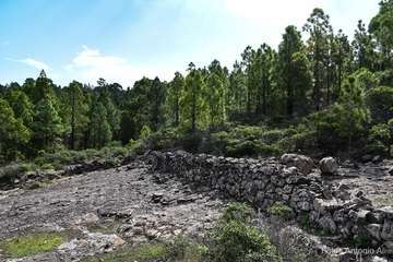 De ruta por el macizo de Tamadaba/Antonio Ali.